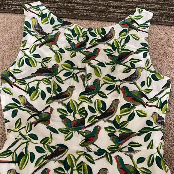 NWOT Emily and Fin Jasmine Parakeets Print Dress - Picture 5 of 9